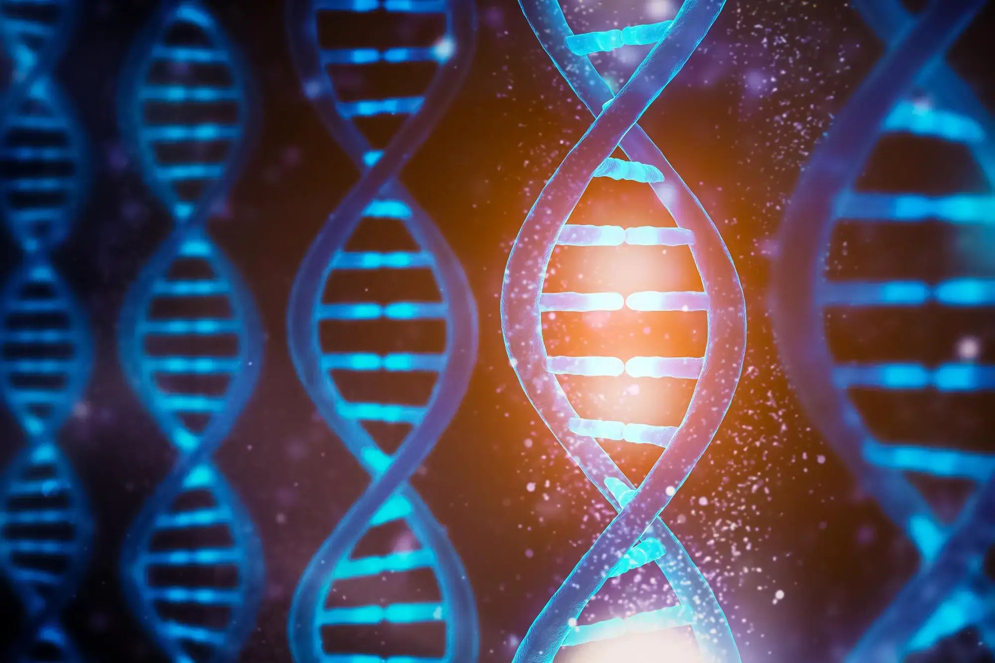 DNA fractal antenna visual representation highlighting the structure of DNA strands and their frequencies.