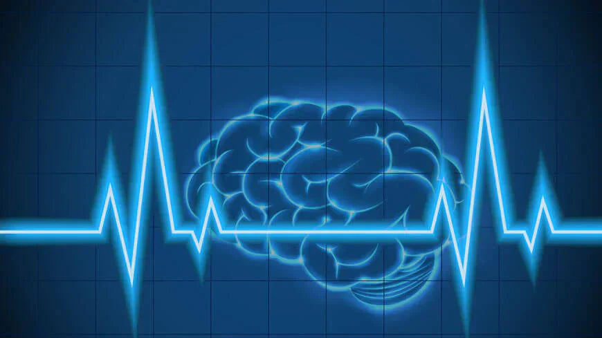 Illustration of a brain with an electrocardiogram, representing EMF effects on brain waves.