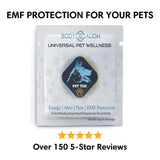 EMF protection pet tag for wellness, by Body Align
