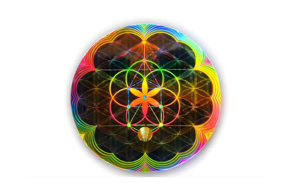 A Body Align EMF Protection Disc closeup.