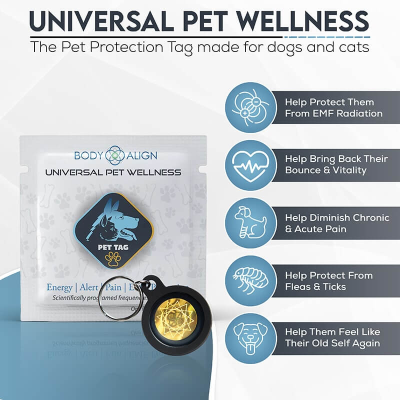 Pet EMF Protection Tag promoting wellness for dogs and cats, reducing EMF radiation and improving vitality.