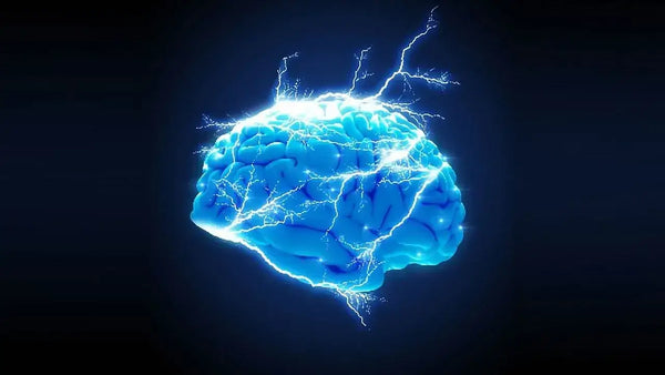 The Human Antenna: Exploring Biological Communication