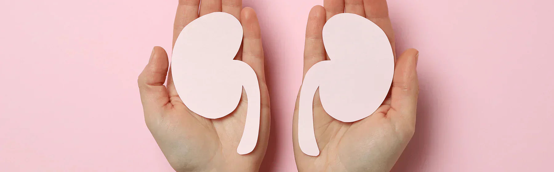Energy wellness products showcased with paper kidney cutouts held in hands on a pink background.