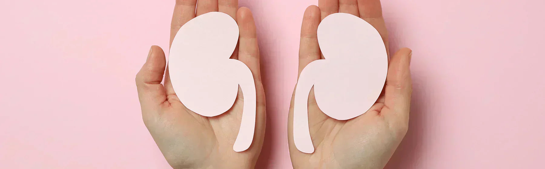 Energy wellness products showcased with paper kidney cutouts held in hands on a pink background.