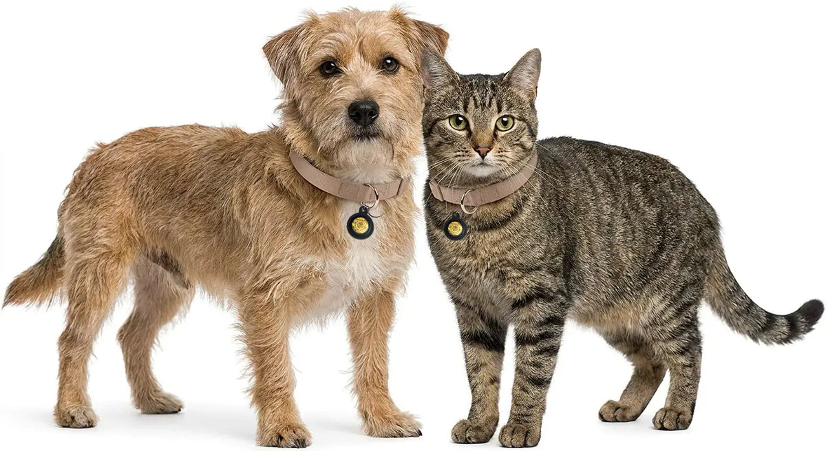 Dog and cat wearing Body Align Pet Tags