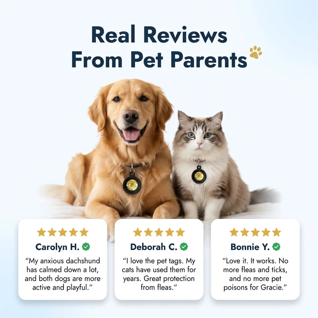 Body Align Pet Tag verified five star reviews from pet parents