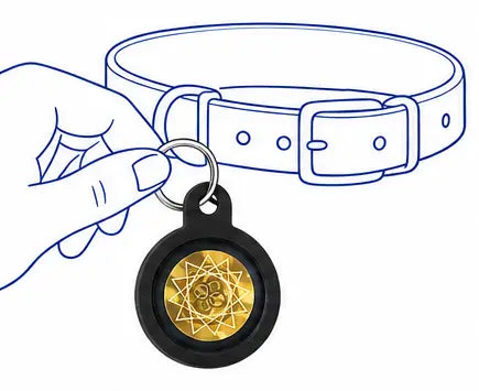 Pet Tag step image