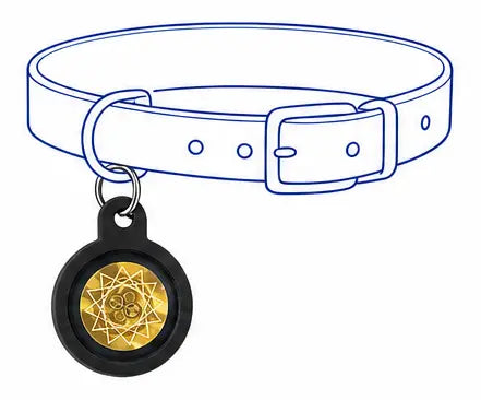 Pet Tag step image