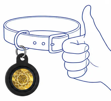Pet Tag step image