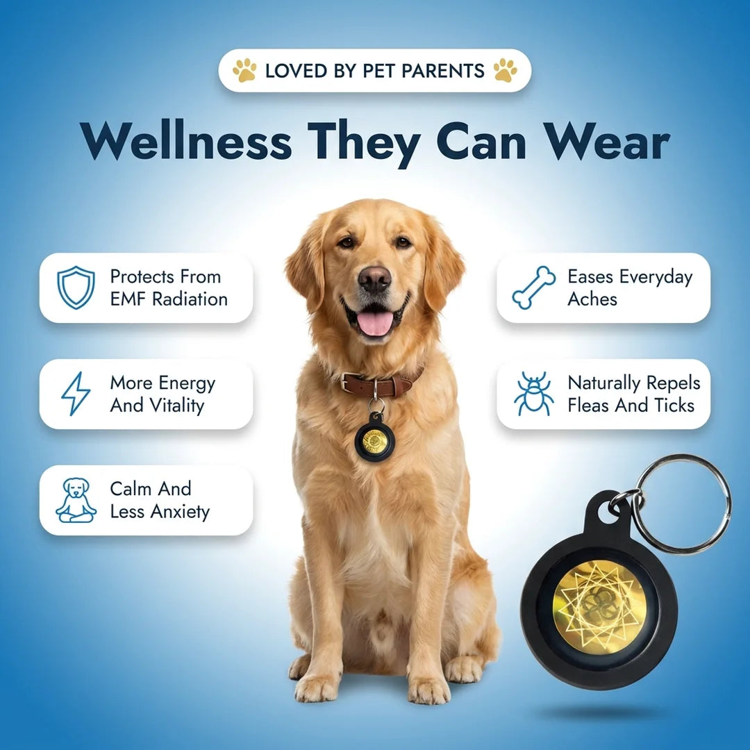 Pet Tag benefits including calm, energy, and EMF protection for pets